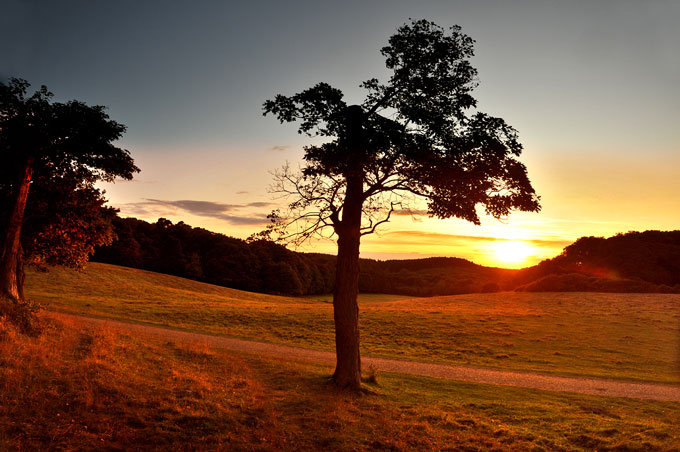 Sheringham Park, north Norfolk