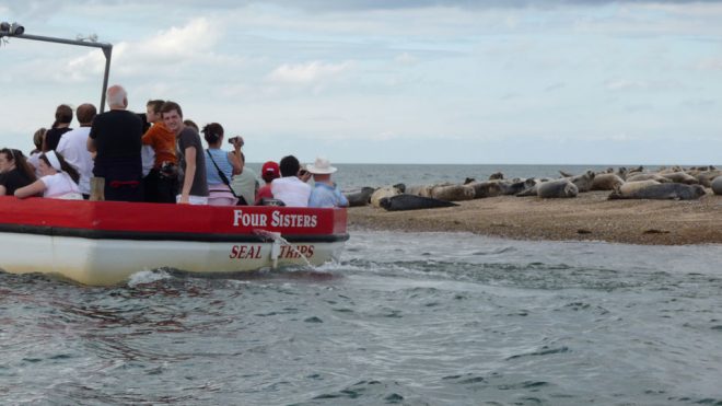 Blakeney Seal Trips, Norfolk