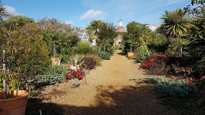 The walled garden, Felbrigg