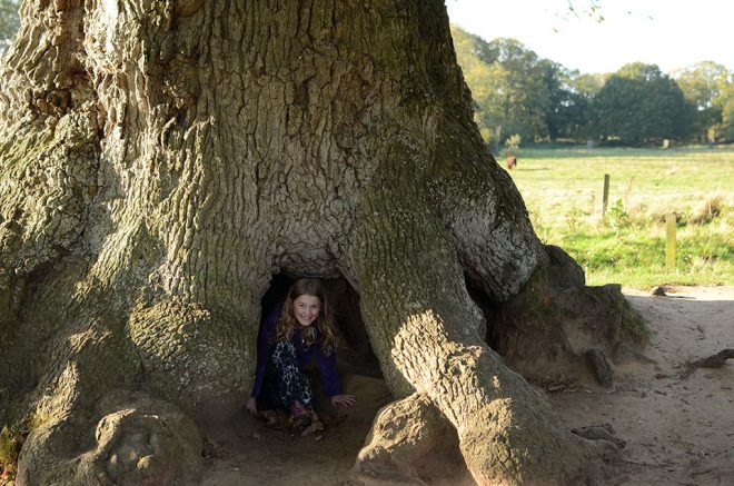 Felbrigg, Norfolk