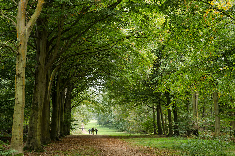 Felbrigg Hall, Gardens and Estate