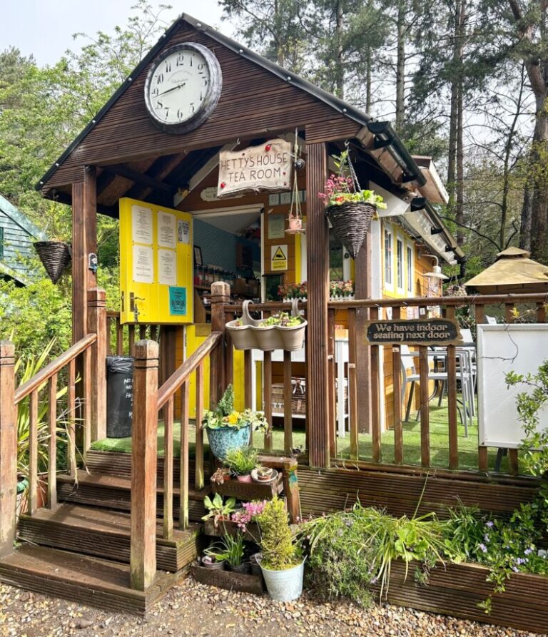 Hetty's House