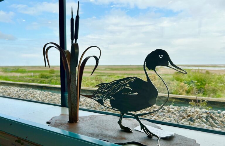 Cley Marshes